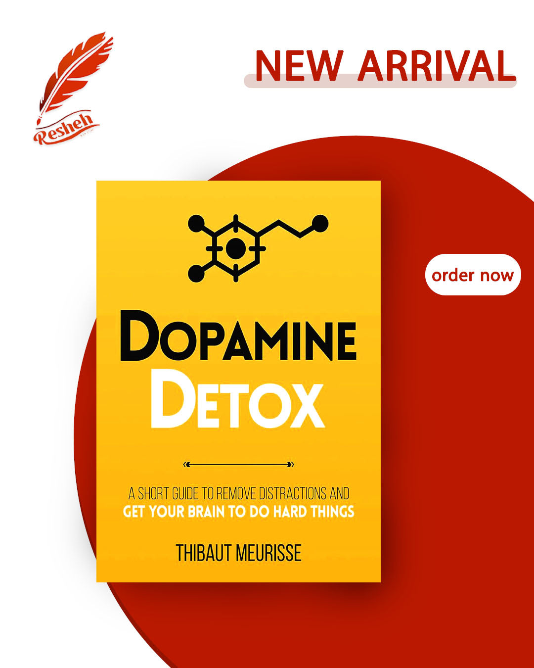 Productivity Series #1
Dopamine Detox (original)
Thibaut Meurisse