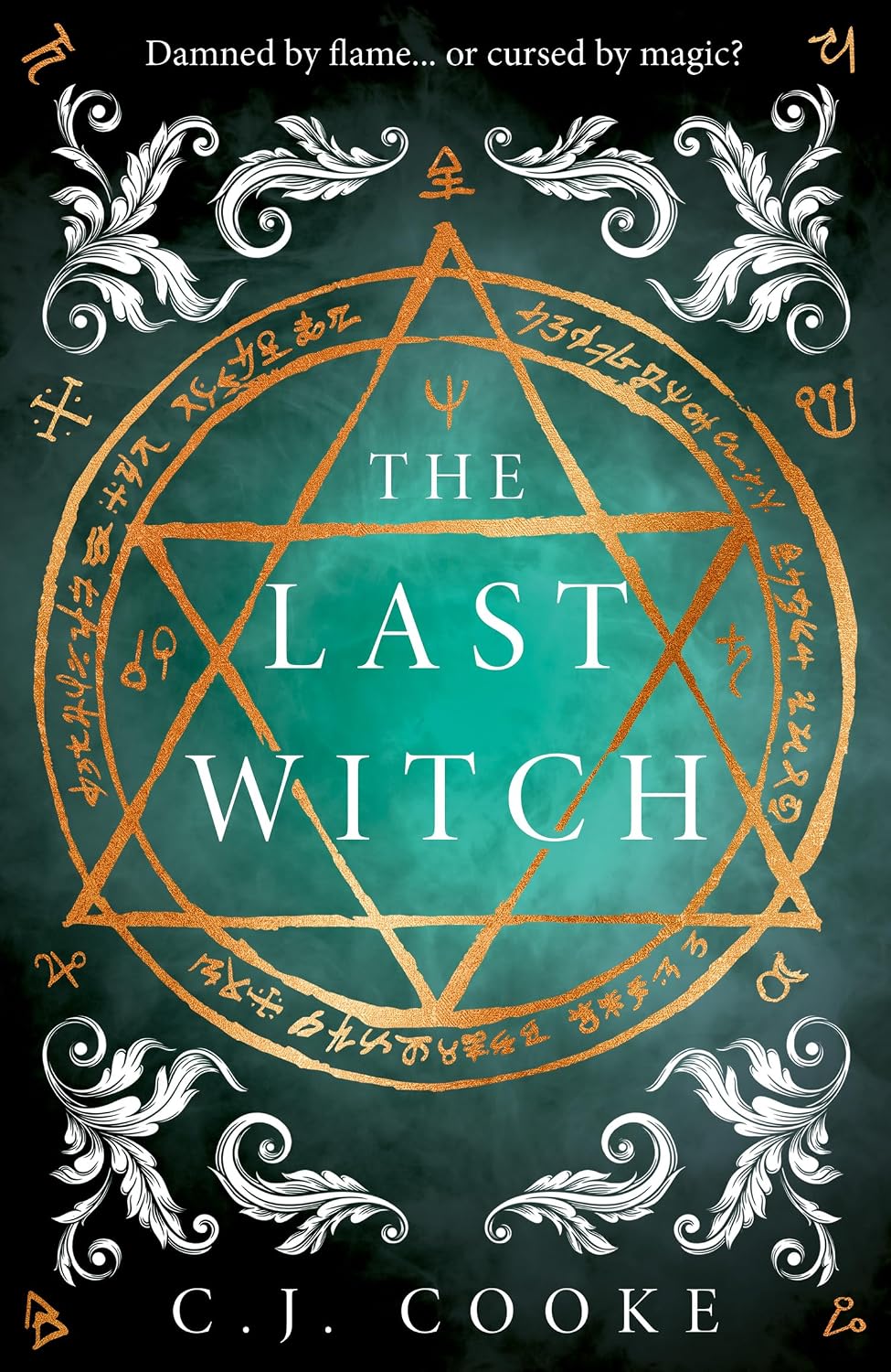 The Last Witch (hardcover original ) C.J. Cooke cover