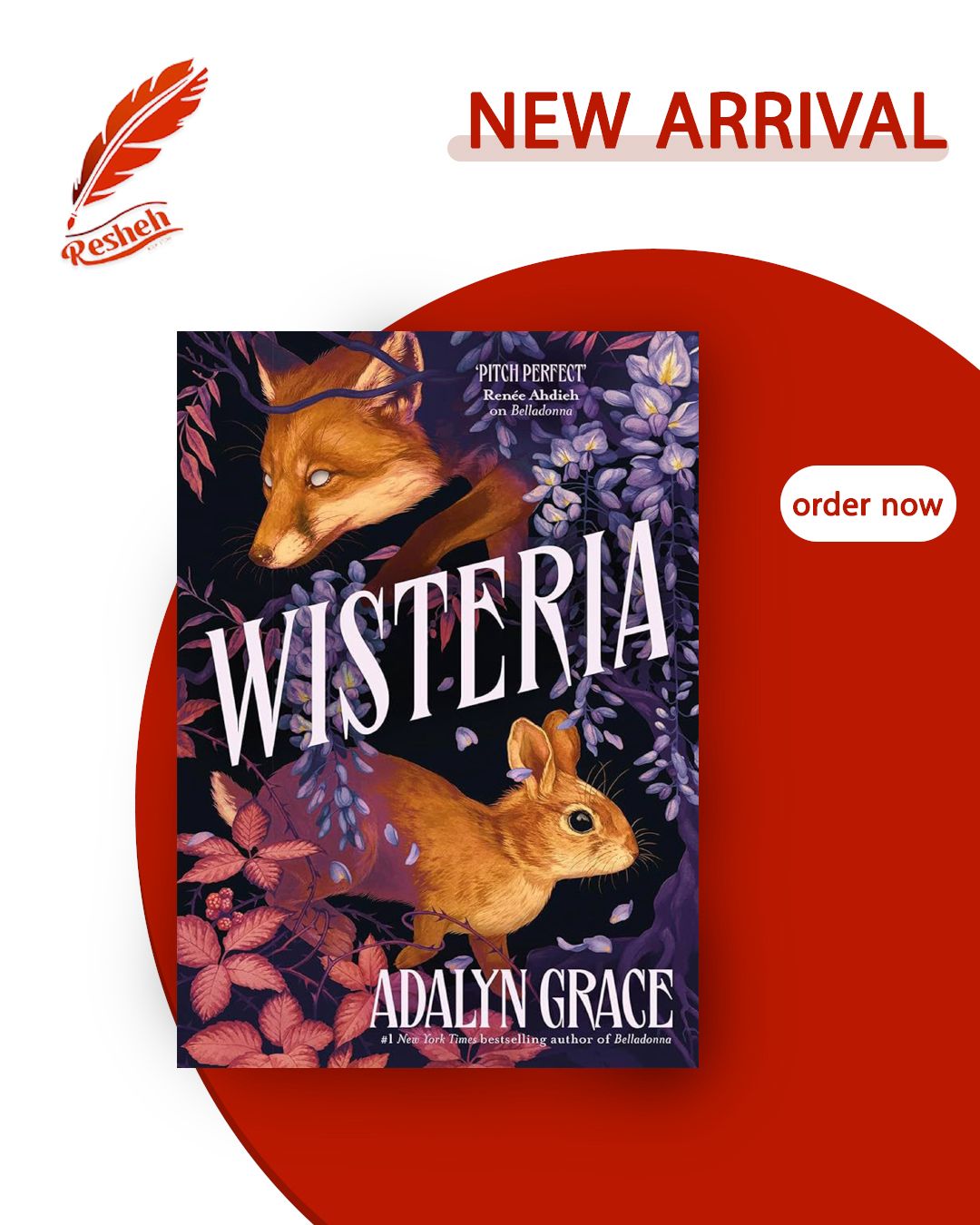 Belladonna #3
Wisteria
Adalyn Grace