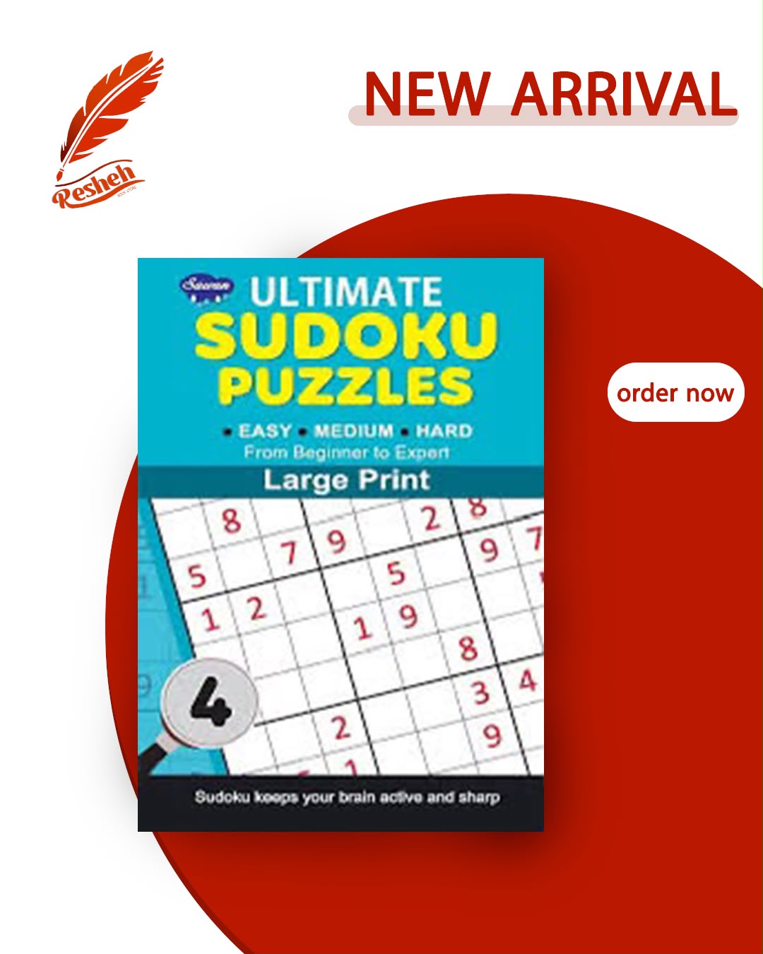 Sudoku puzzles large print #4