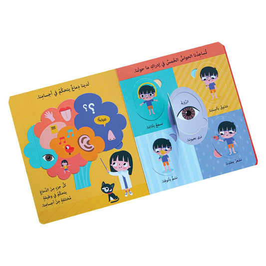 جسم الإنسان