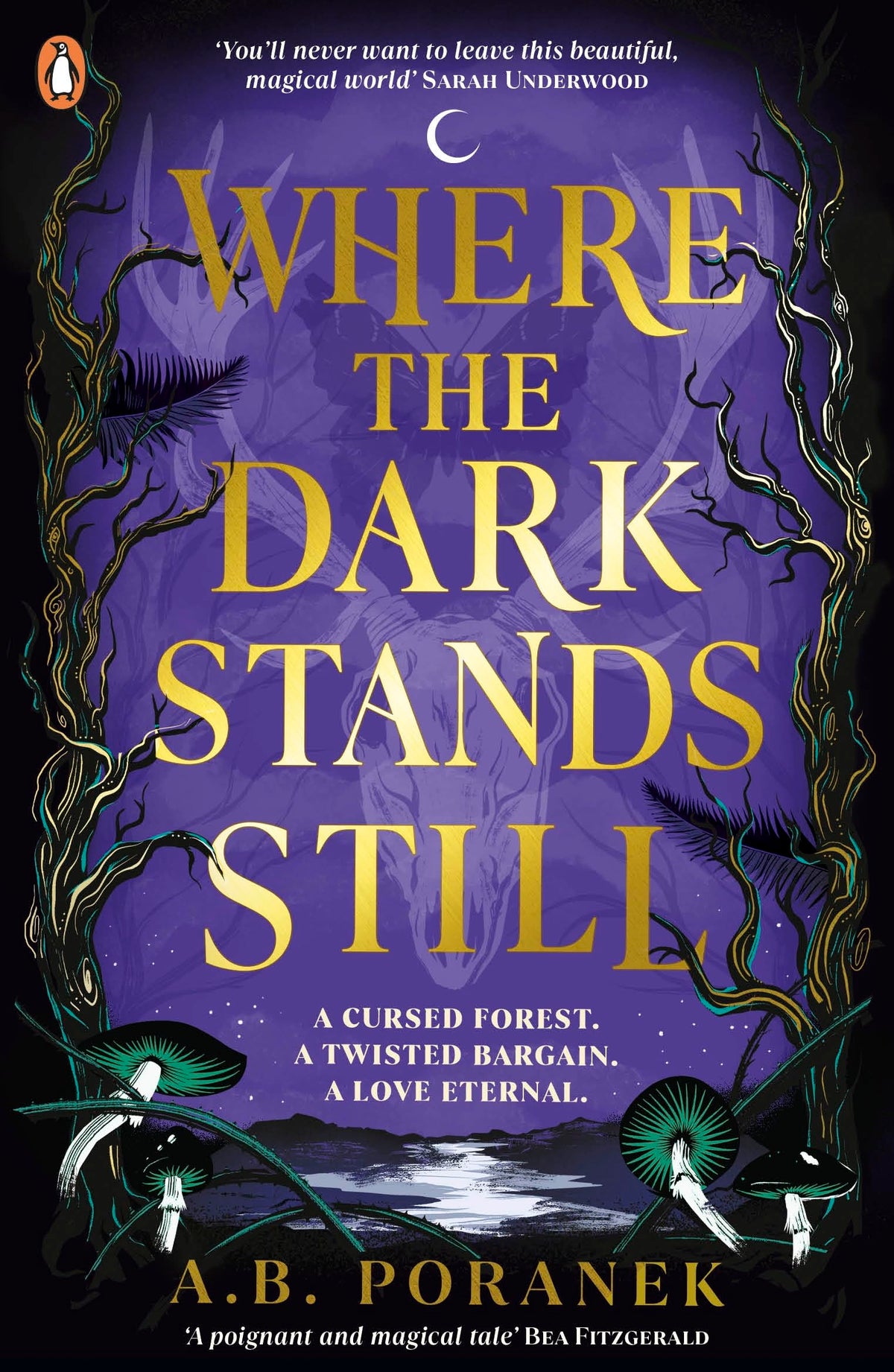 Where the Dark Stands Still (original)
A.B. Poranek