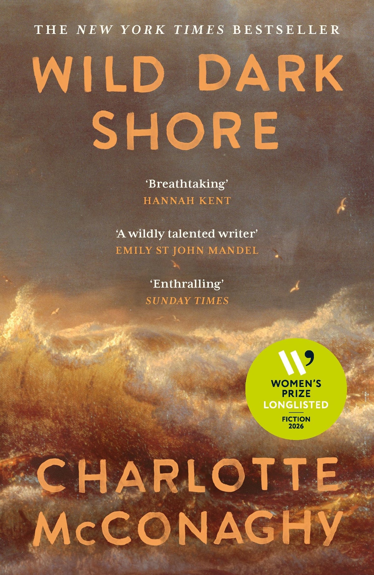 Wild Dark Shore (original)
Charlotte McConaghy