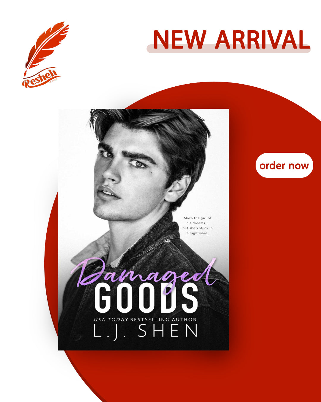 All Saints High #4
Damaged Goods (original)
L.J. Shen