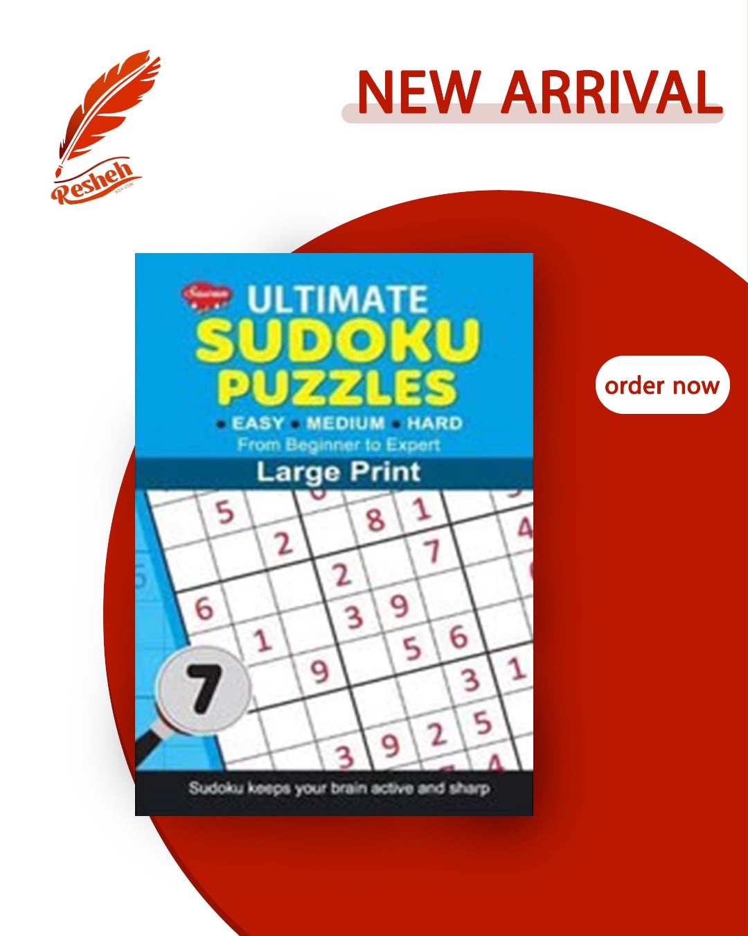 Sudoku puzzles large print #7