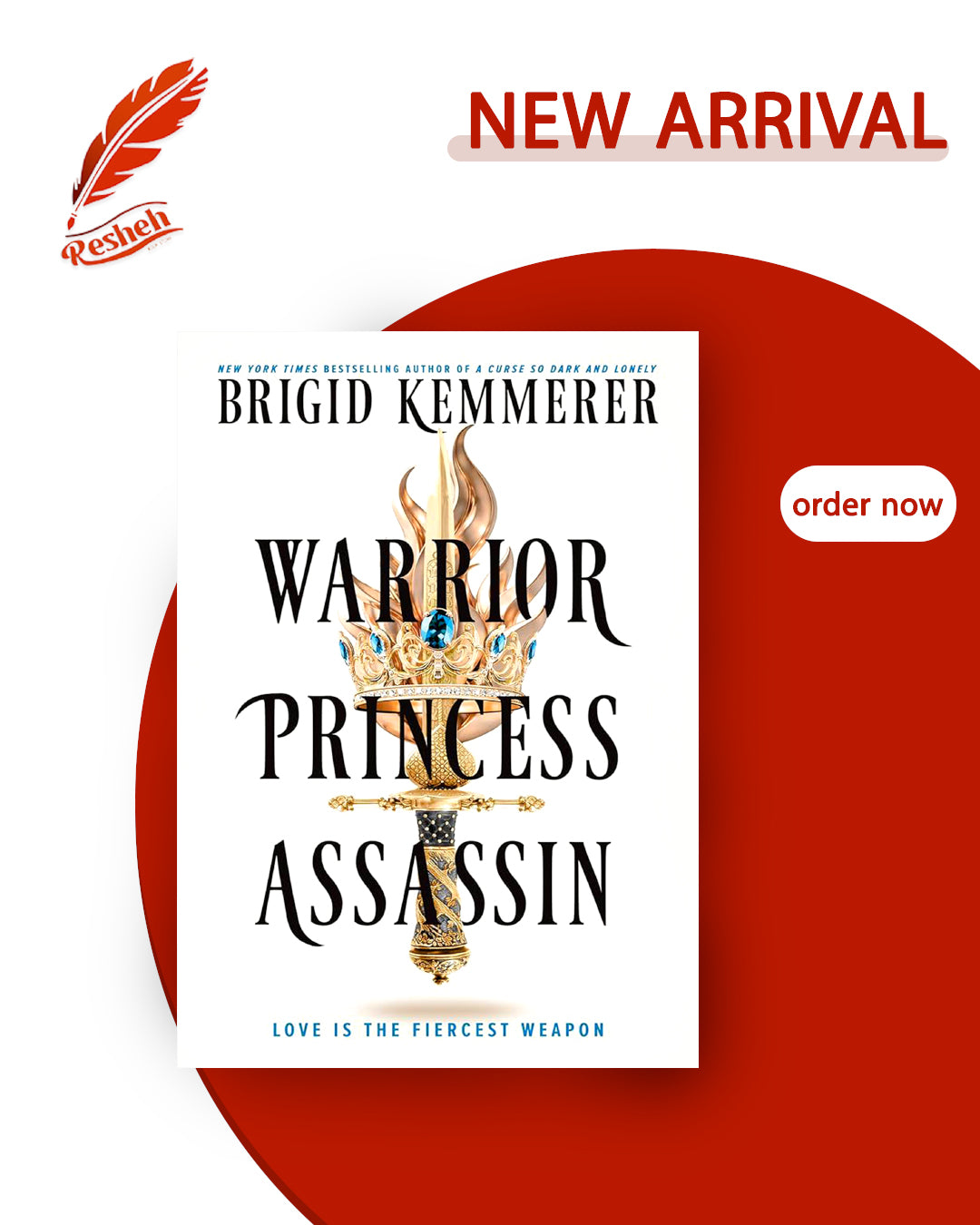 Braided Fate #1
Warrior Princess Assassin (original)
Brigid Kemmerer