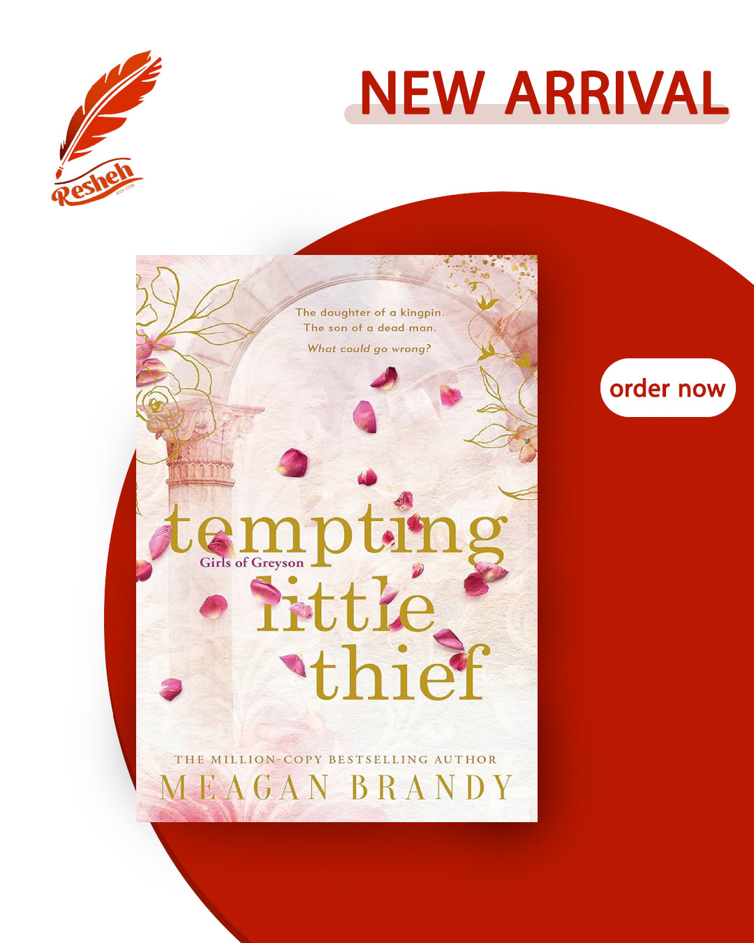 Girls of Greyson #1
Tempting Little Thief (original)
Meagan Brandy