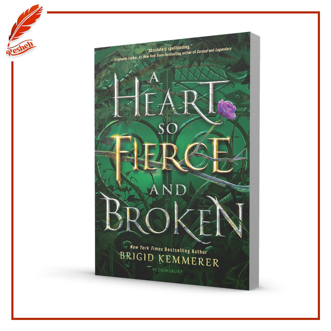 A Heart So Fierce and Broken by Brigid Kemmerer