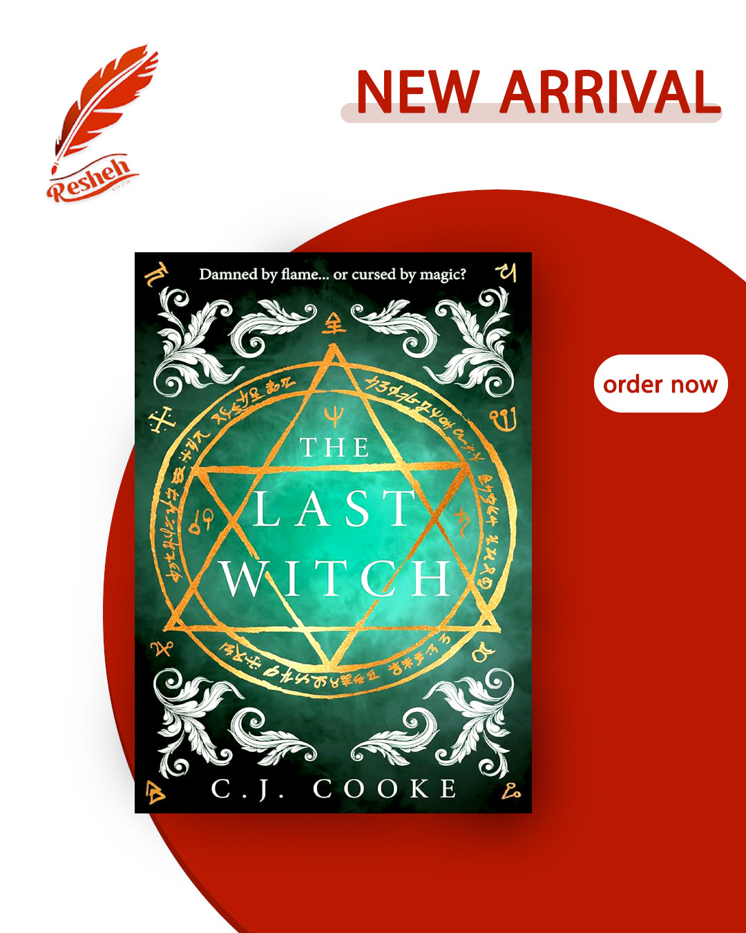 The Last Witch (hardcover original )
C.J. Cooke