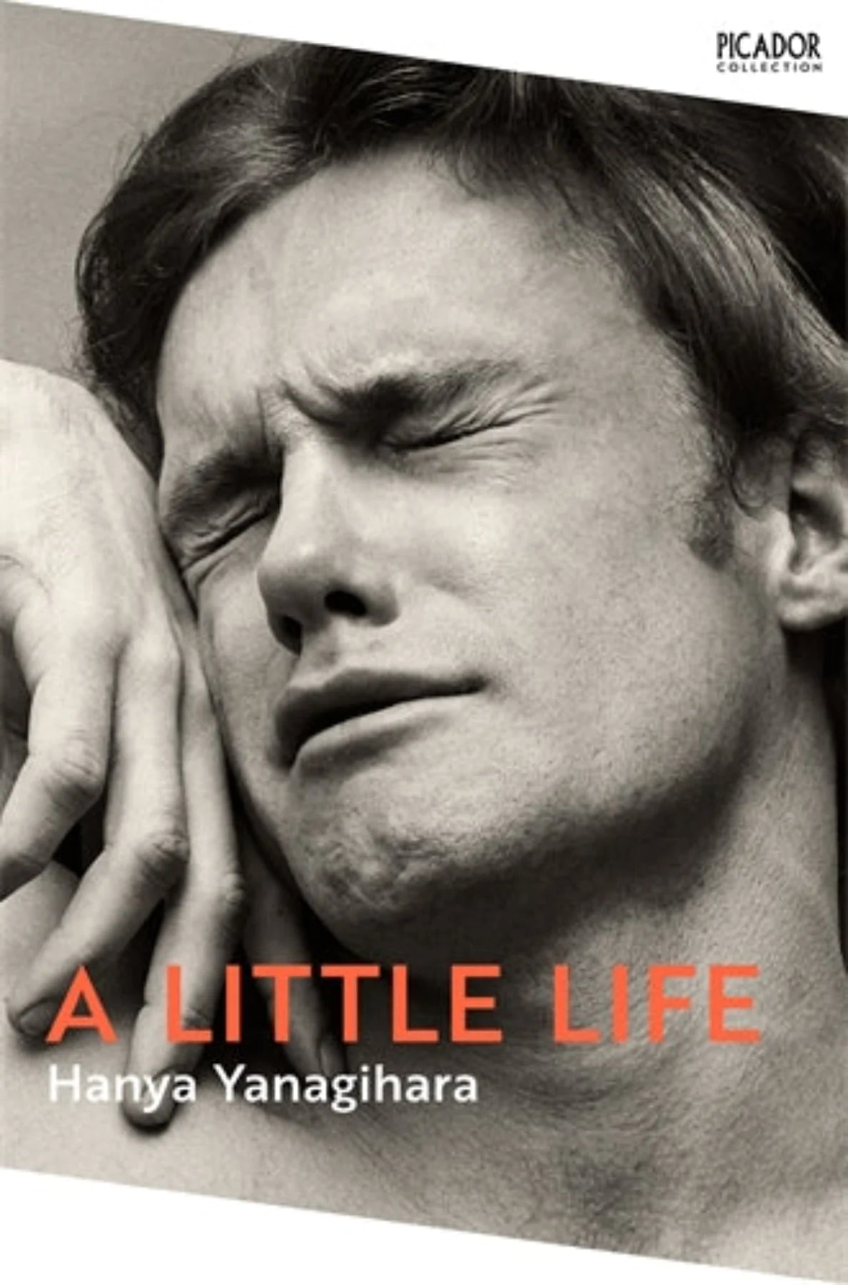 A Little Life (original)
Hanya Yanagihara