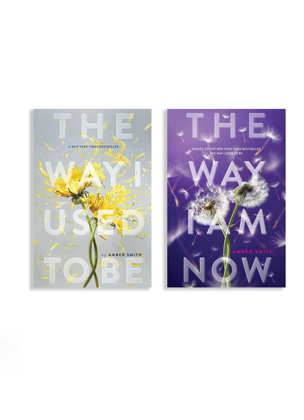 The Way I Used To Be All series by Amber smith