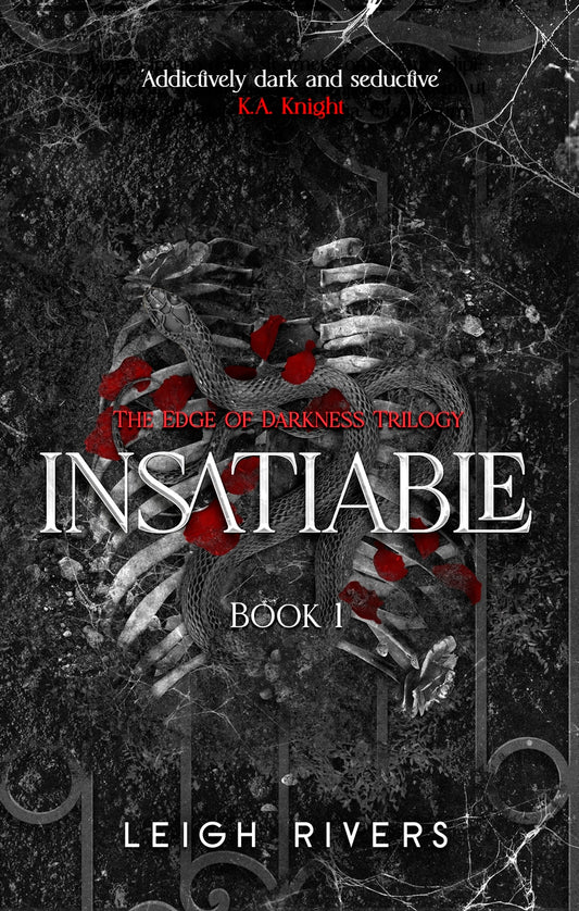 The Edge of Darkness Trilogy #1
Insatiable (original)
Leigh Rivers