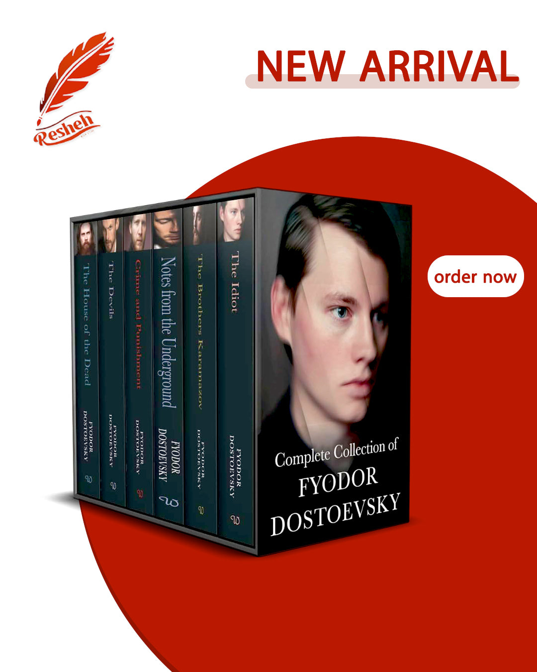 Complete Collection of Fyodor Dostoevsky 6 Books boxSet (original)