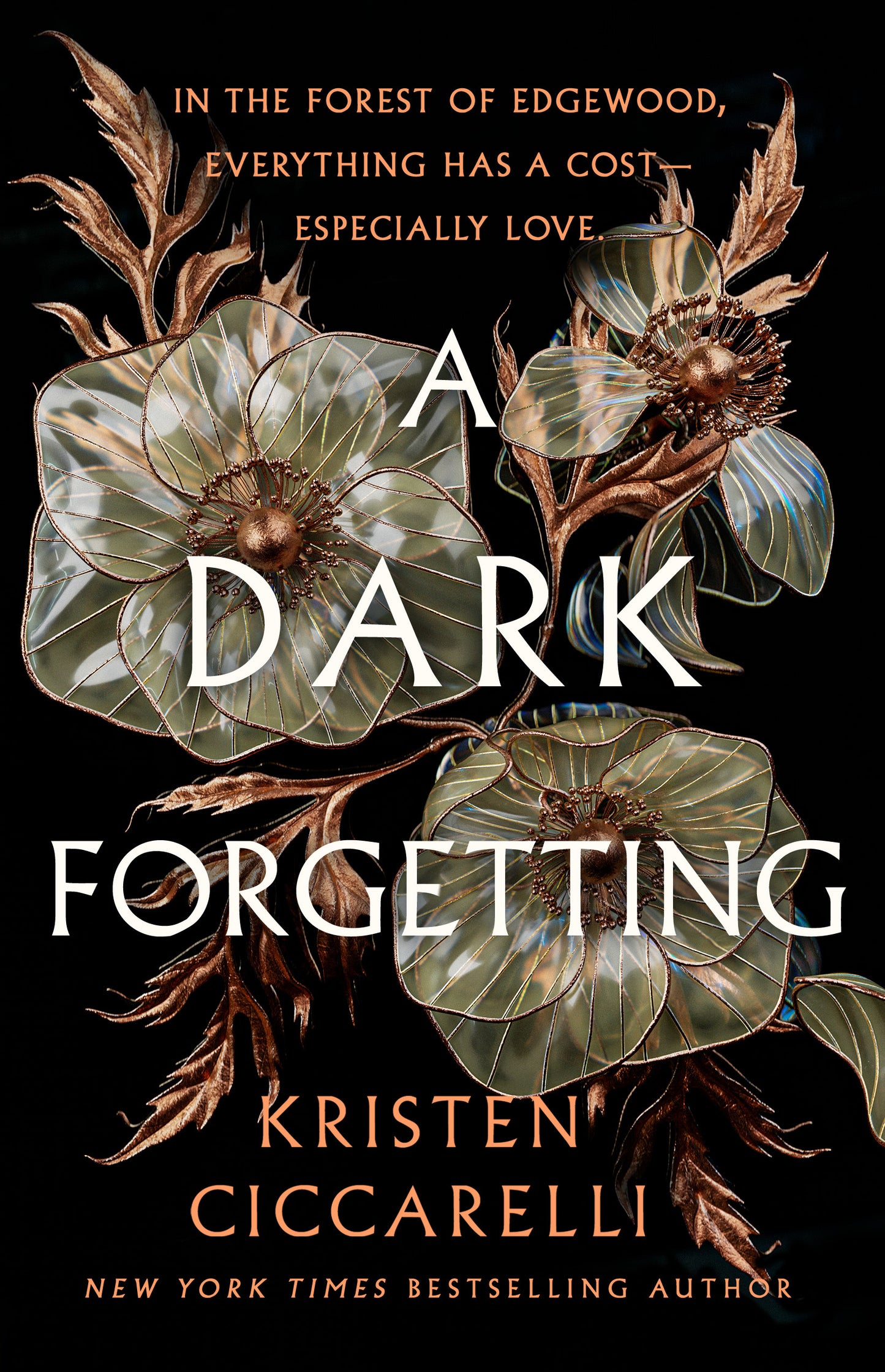 A Dark Forgetting
Kristen Ciccarelli