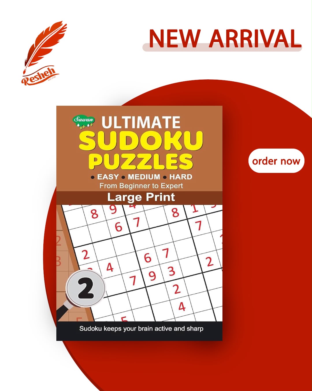 Sudoku puzzles large print #2