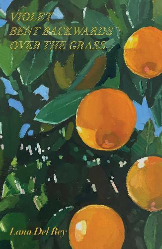 Violet Bent Backwards Over the Grass (hardcover)
Lana Del Rey