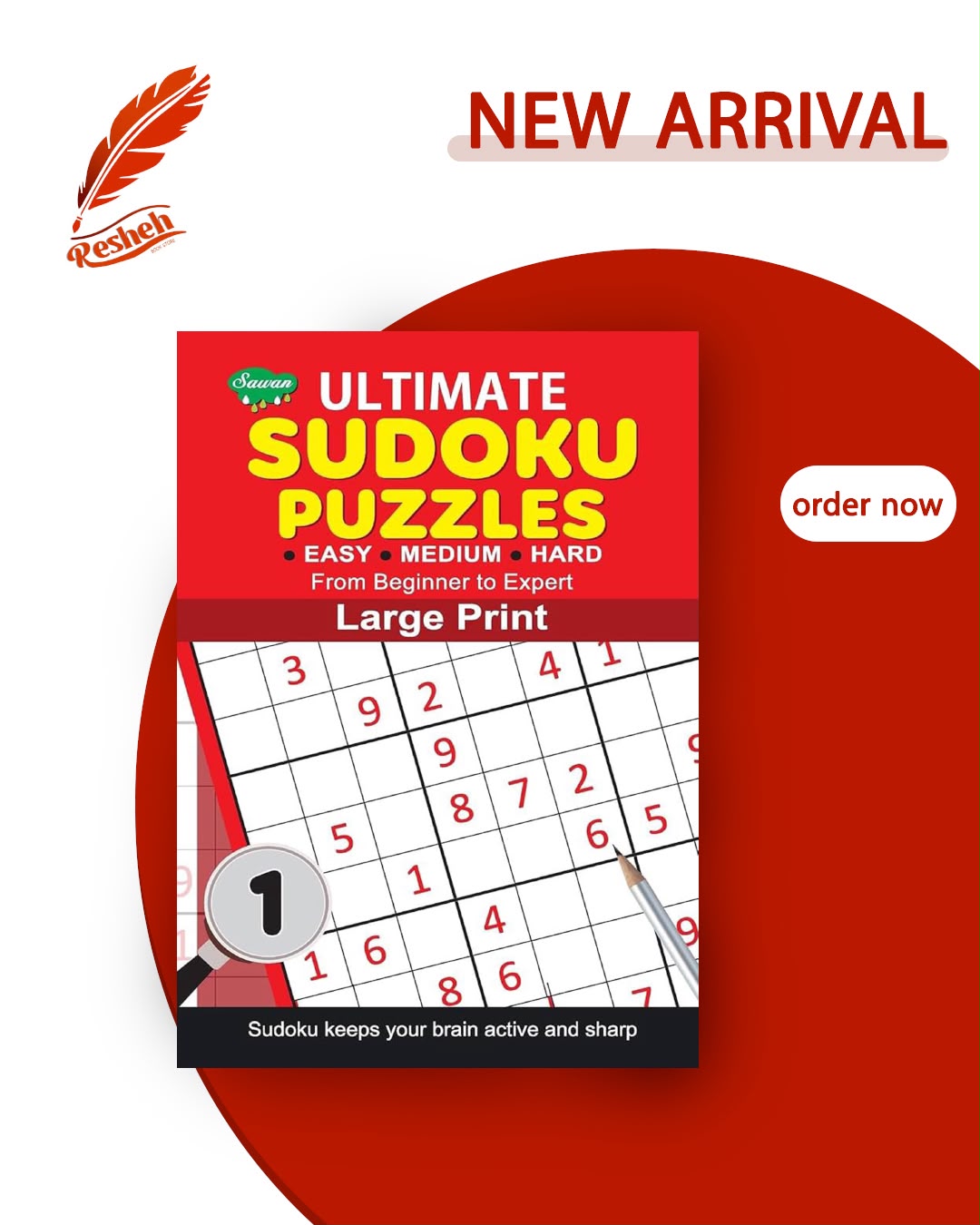 Sudoku puzzles large print #1