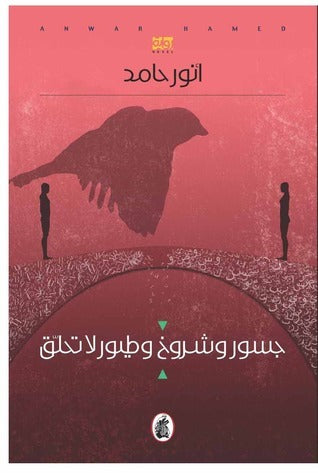 جسور وشروخ وطيور لاتحلق أنور حامد (اصلي)