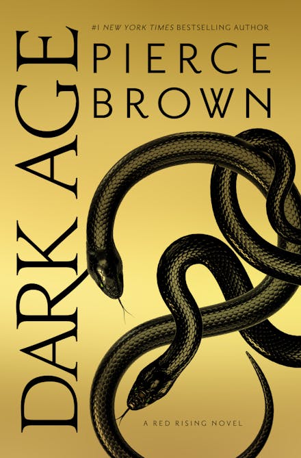 Dark Age (original)
Pierce Brown