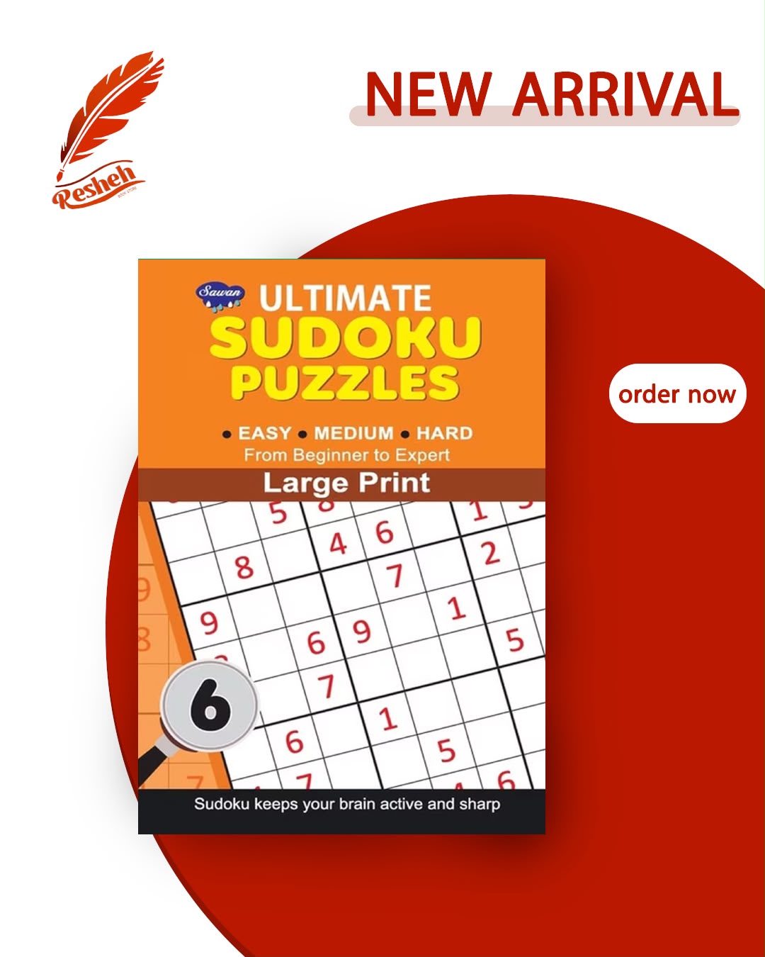 Sudoku puzzles large print #6